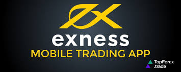 Discovering Exness Bahrain A Comprehensive Guide Discovering Exness Bahrain A Comprehensive Guide